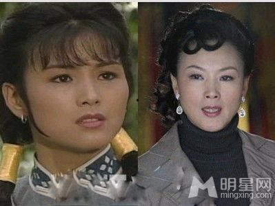 贵夫人电视剧在线观看,宫廷权谋与情感纠葛的华丽演绎  第3张