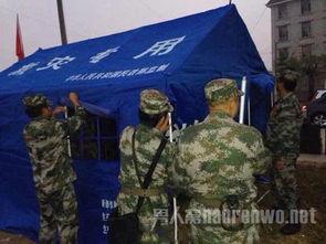 云南普洱茶最新爆料消息,揭秘云南普洱茶最新产业动态与市场趋势  第1张